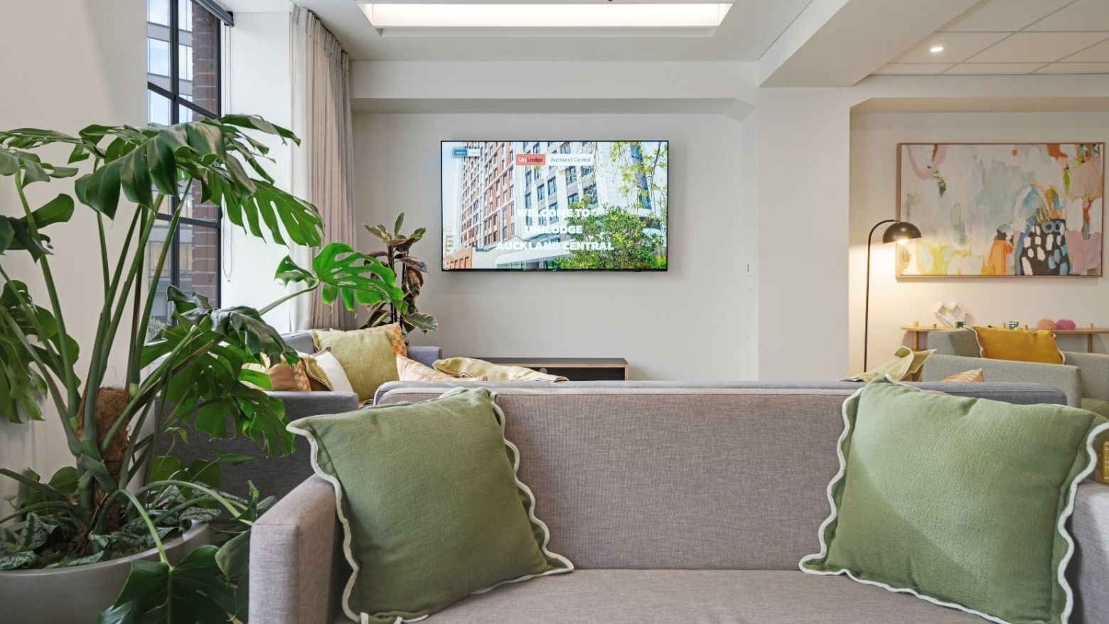 Modern communal lounge with gray sofas, green cushions, potted plants, and wall-mounted TV at UniLodge Auckland Central