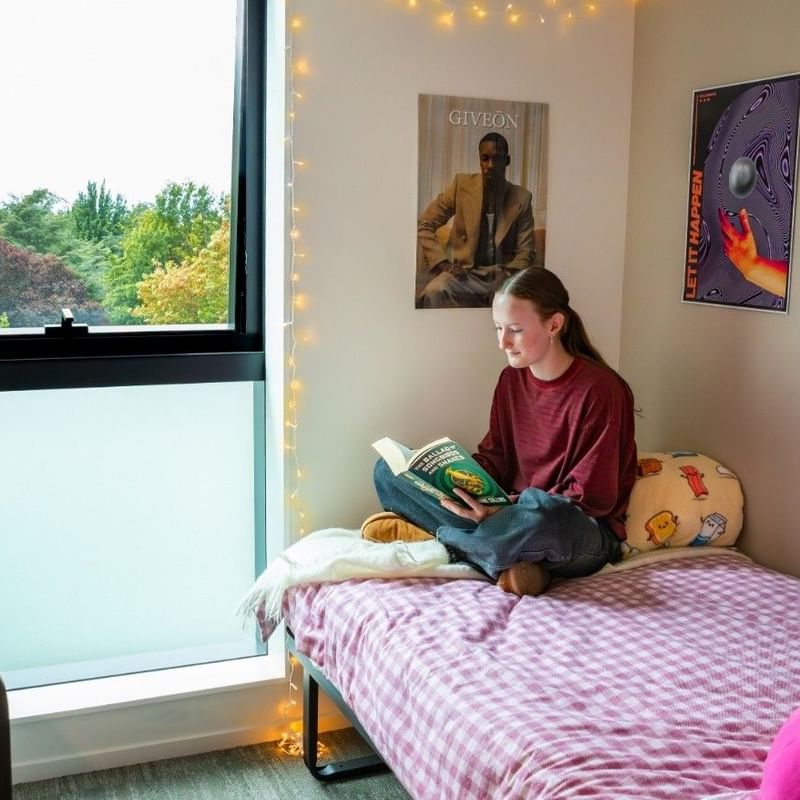 Student reading on bed in bright room with large window overlooking green trees and decorative posters on wall
