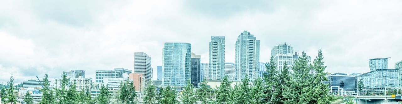 View of downtown Bellevue