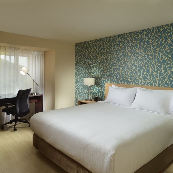 Interior of Superior Queen at One Hotels