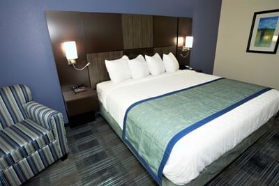 One King Bed