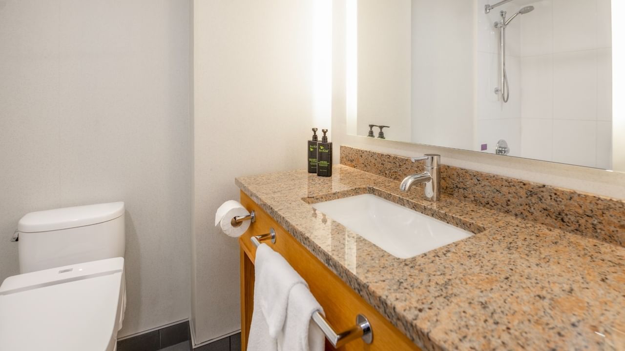 A bathroom with a toilet, granite countertop sink, wooden cabinet, and a mirror with a shower visible in the reflection.