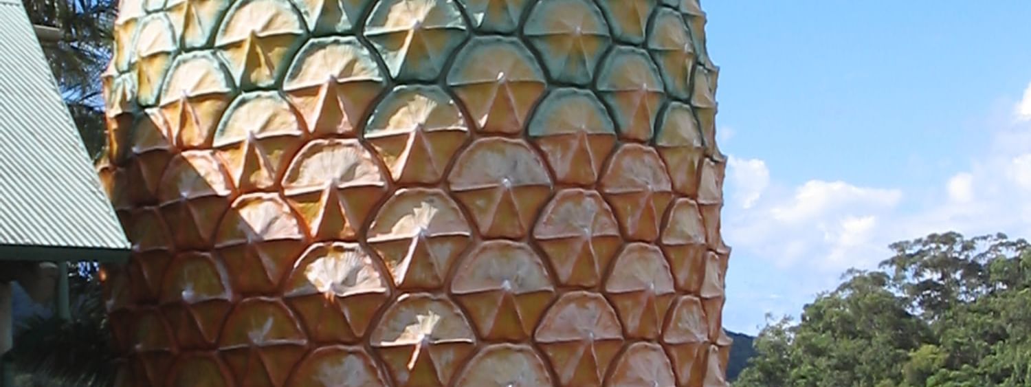 A family posing by the Big pineapple near Novotel Sunshine Coast Resort