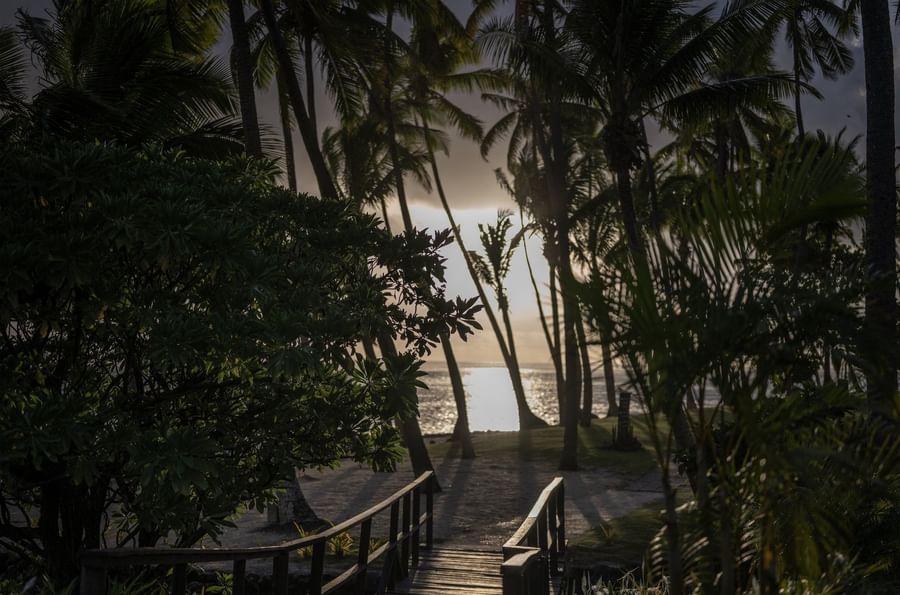 Wooden bridge by leafy bushes under a golden sunset filtered through tall palm trees at Tambua Sands Beach Resort