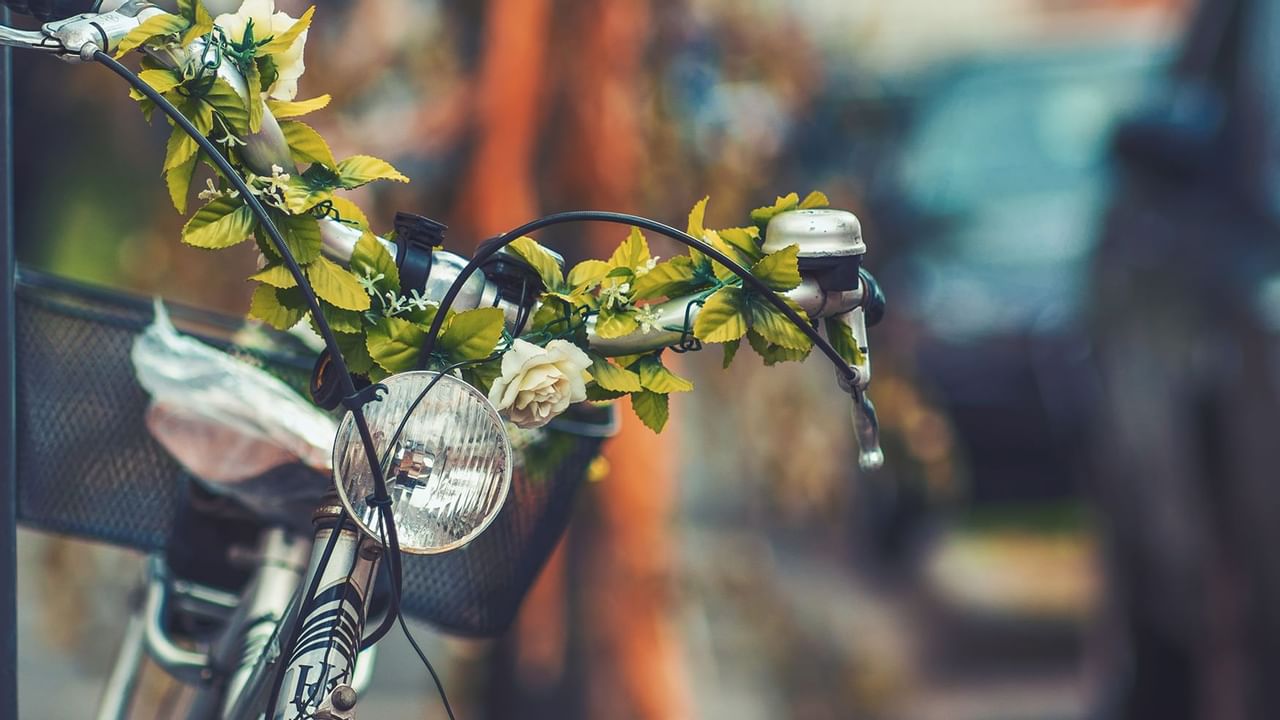 Bicycle leaning with headlight and flowers around handle bars