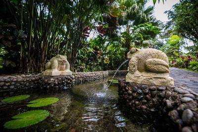 Fuente de agua