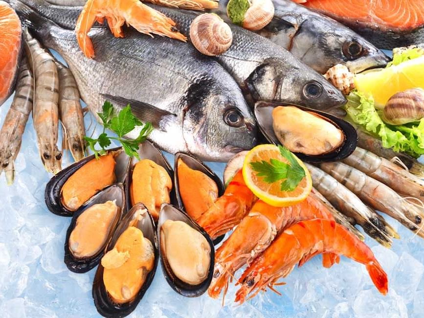 Lexis Suites Penang Saturday Seafood Buffet
