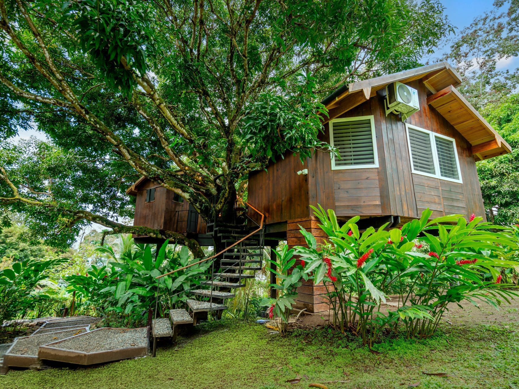 Casa elevada en el bosque con escaleras en el Central Hotel Bocas Del Toro en Valle de Agua.