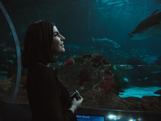 25 Awesome Things To Do In Toronto | Ripley's Aquarium | Sandman Hotel Group Blog