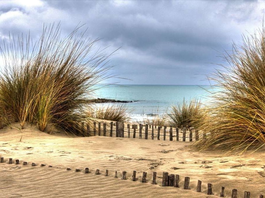 The beautiful beach of l’Espiguette near hotel Costieres