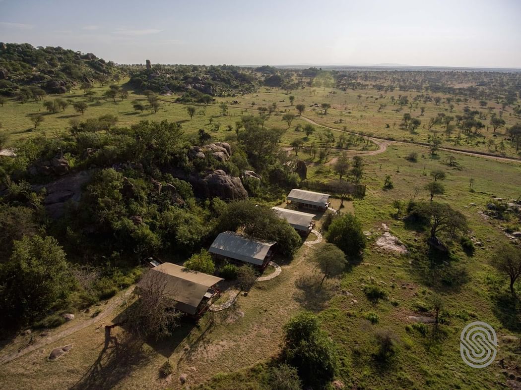 Aerial view of Mbuzi Mawe Serena Camp surrounded by forest