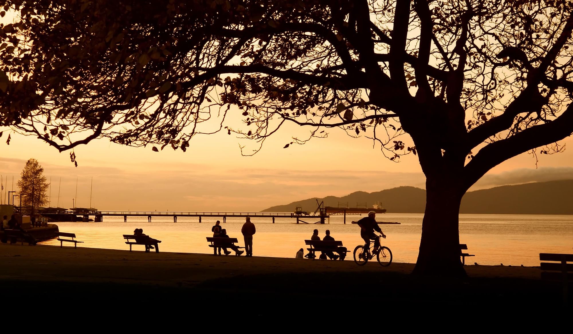 Everything You Need to Know About Stanley Park