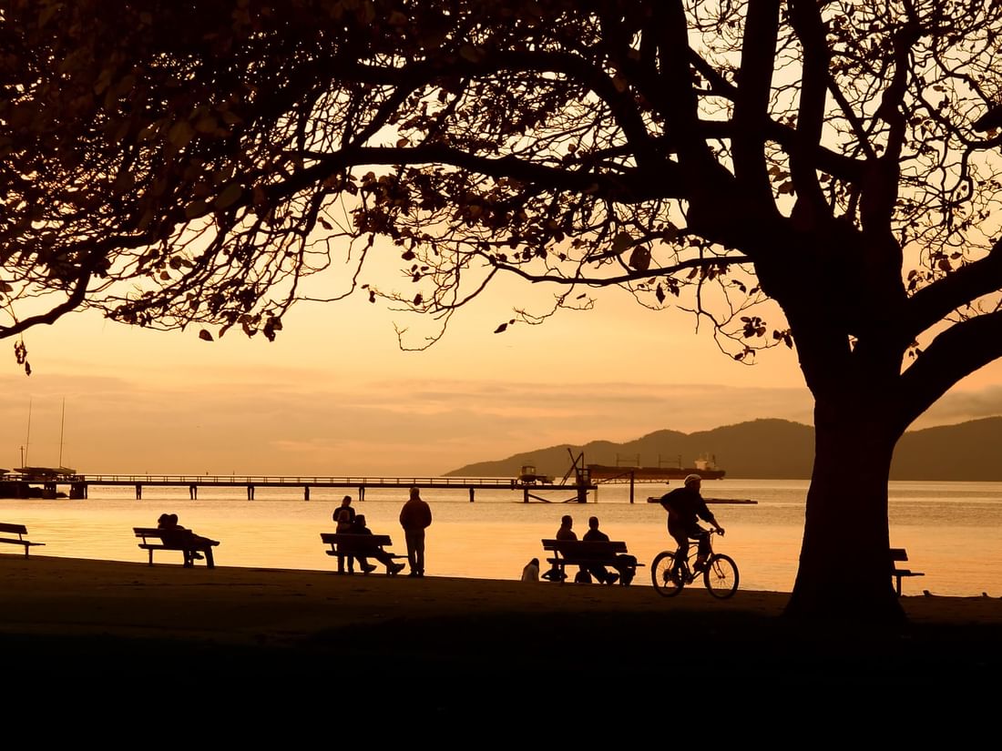 Everything You Need to Know About Stanley Park