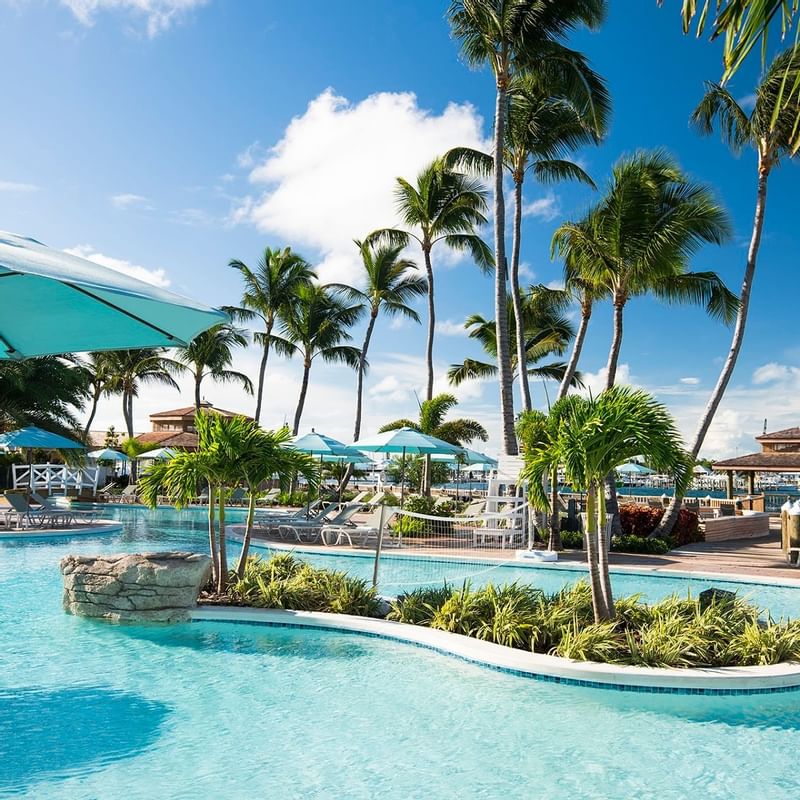 An outdoor pool with palm trees at Warwick Paradise Island Bahamas