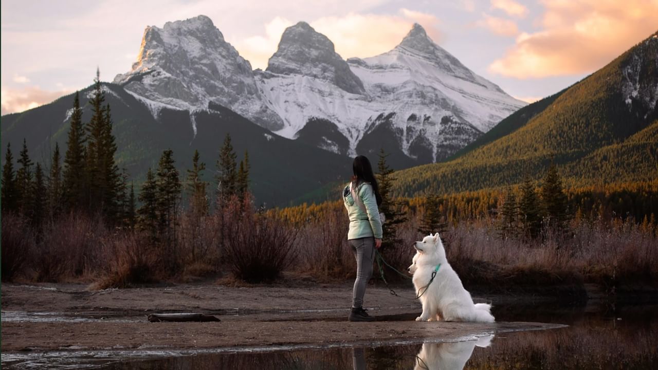 A person and their dog admire the view of the mountains on a quiet trail in Canmore in the spring.