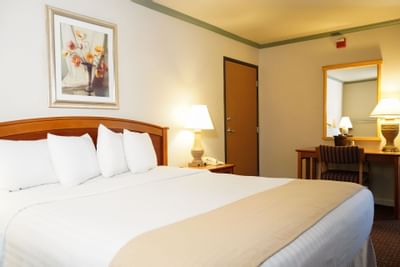 Interior of One King Bed Room at Hotel Buena Vista