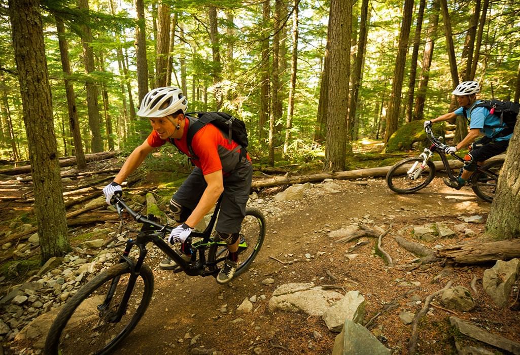 persons biking in forest