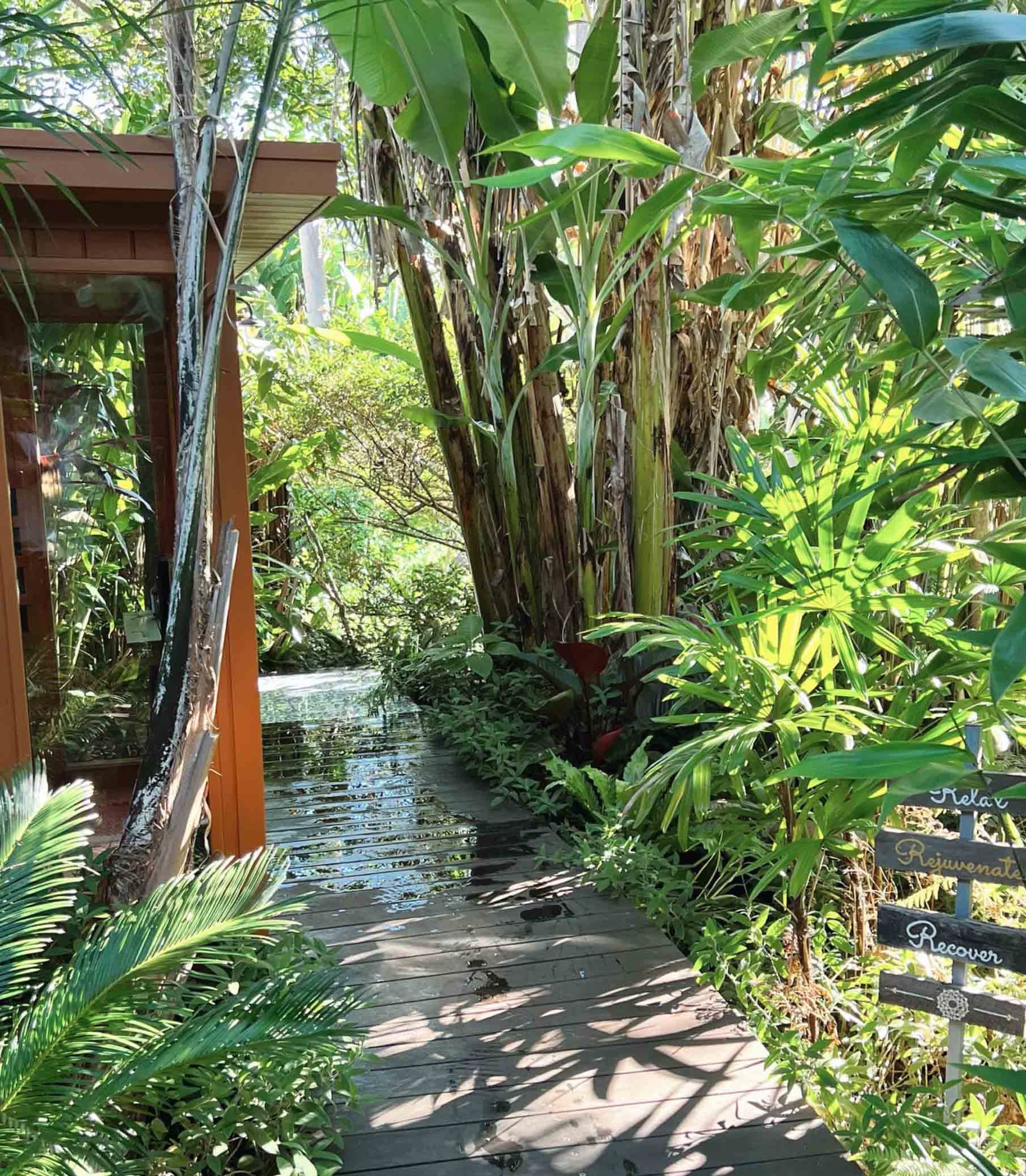 cloud 9 infared sauna with tropical landscape on the central coast