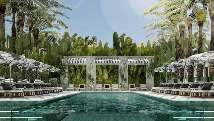 Outdoor Pool & pool chairs around palm trees at Dream Doha.