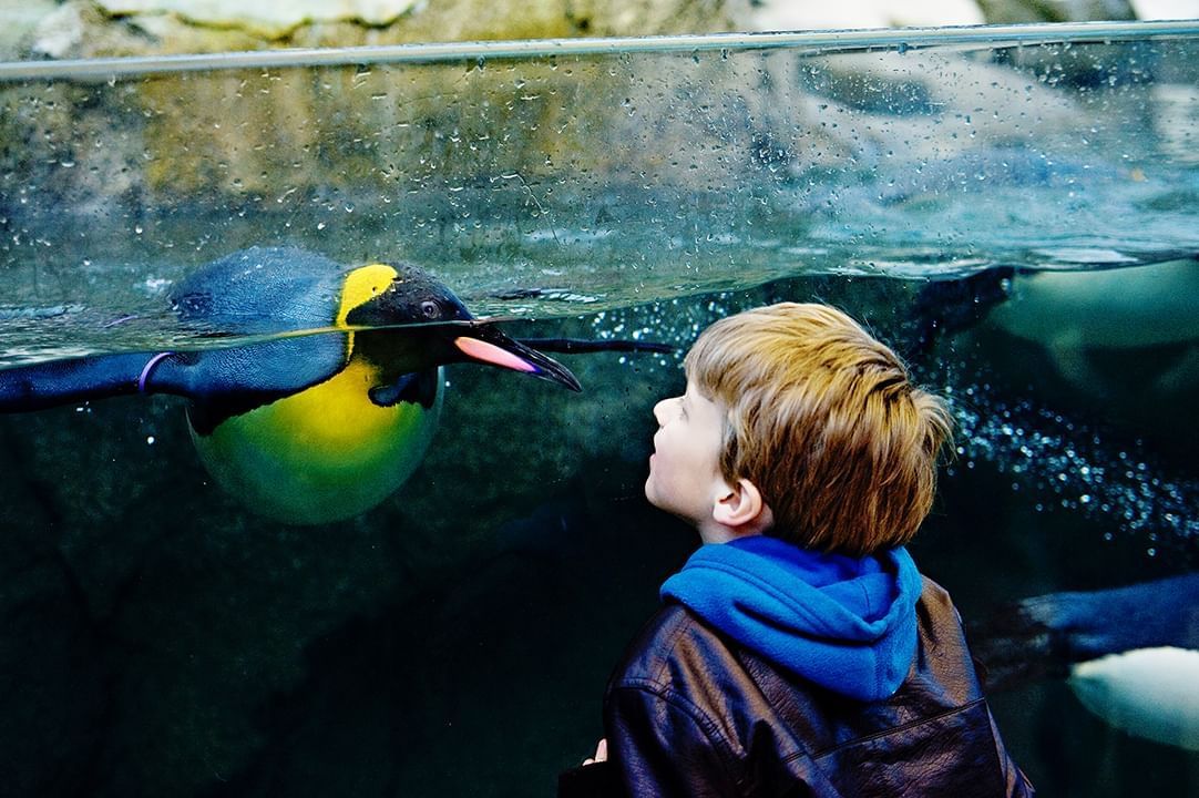 Hotel Deals in Calgary Best Western Premier Calgary Plaza Hotel