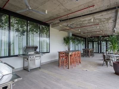 Darwin_Outdoor Courtyard