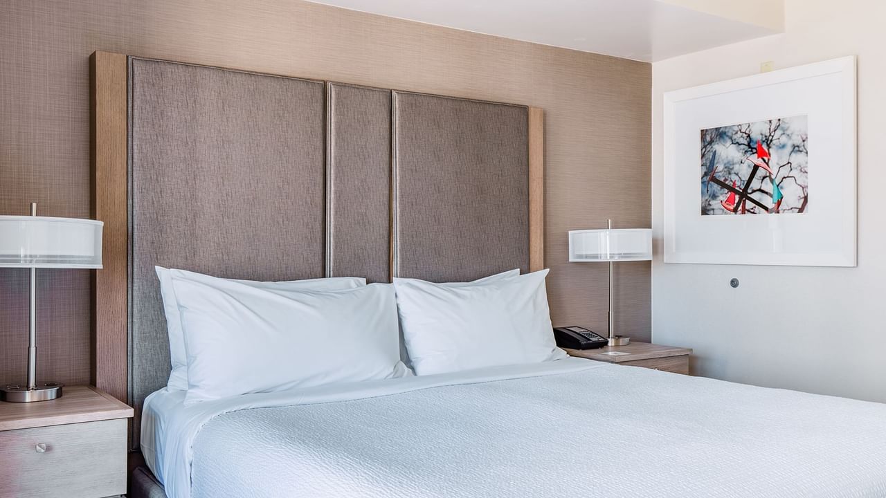 Hotel guestroom with king bed