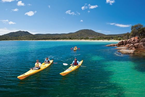 People Kayaking on the Great Oyster Bay near Freycinet Lodge