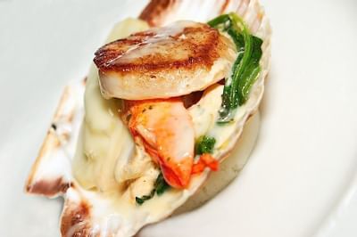 Scallop entrée at Breakwater