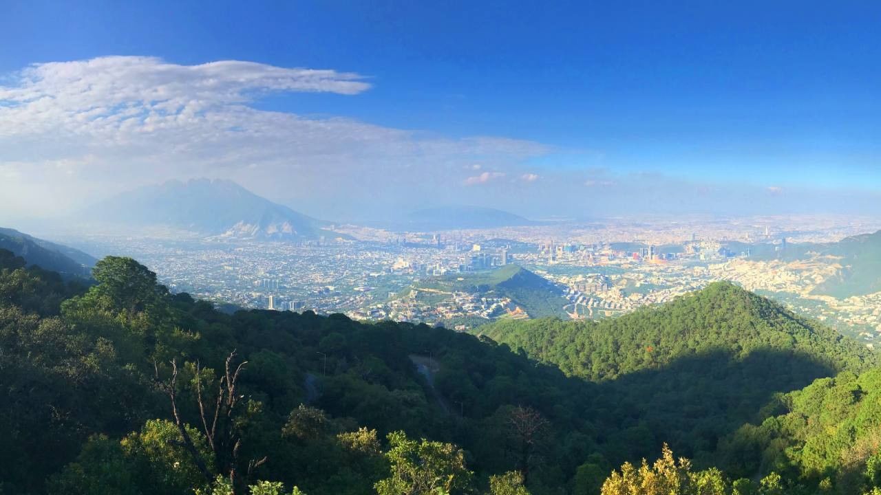 Lush green trees in a forest surrounding a panoramic city view under a clear sky at Camino Real Pedregal Mexico