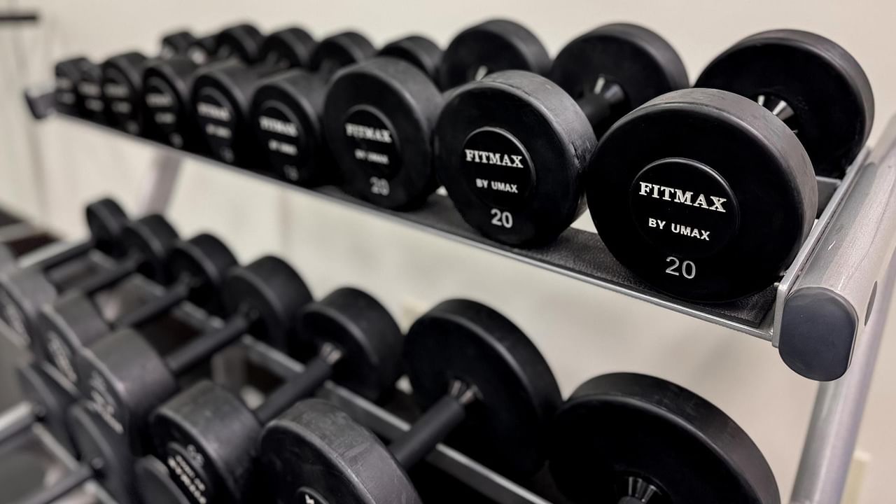 Row of weight plates and dumbbells.