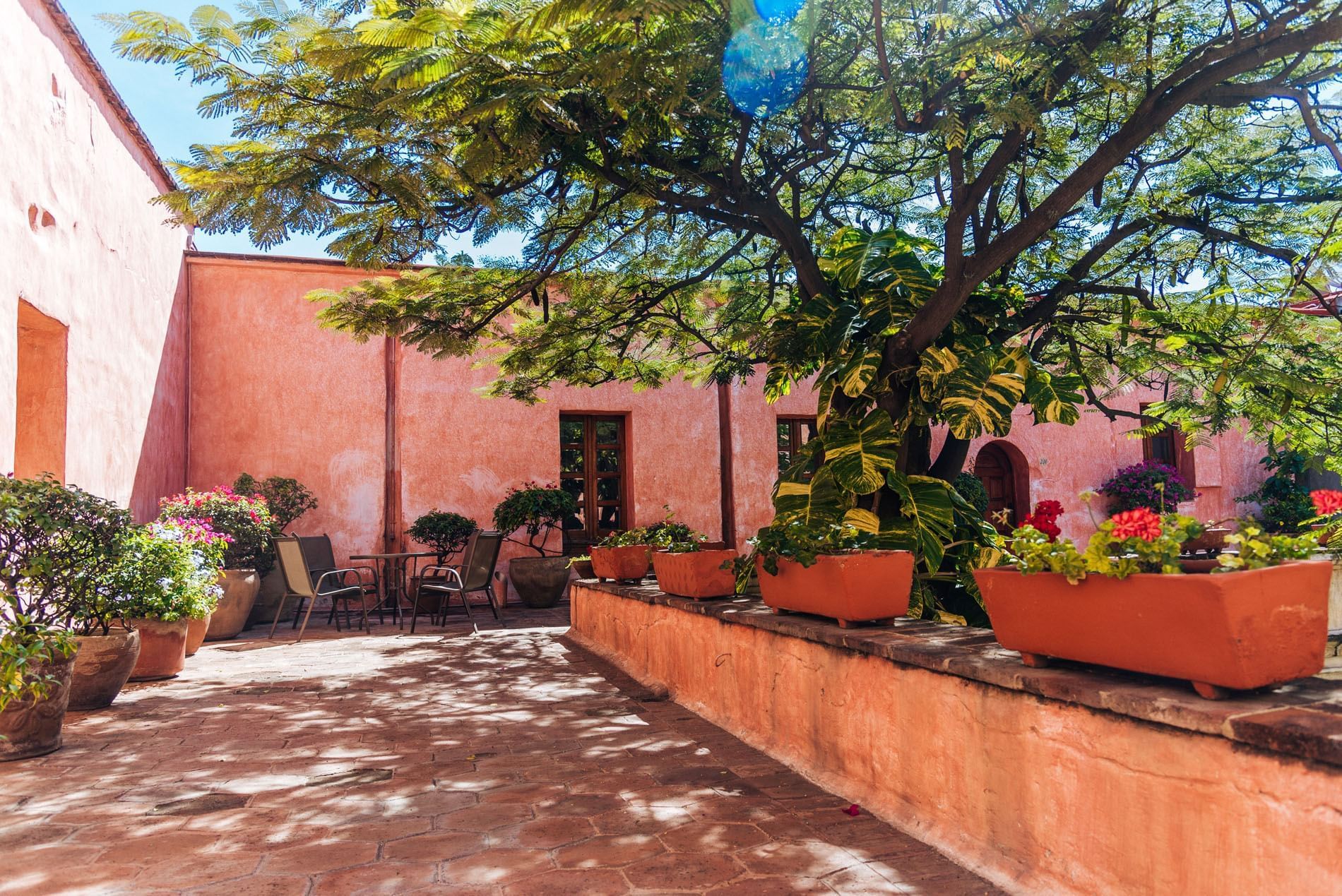 Sunny courtyard with terracotta pots filled with flowers and leafy plants lining a pink stucco wall at Quinta Real Oaxaca