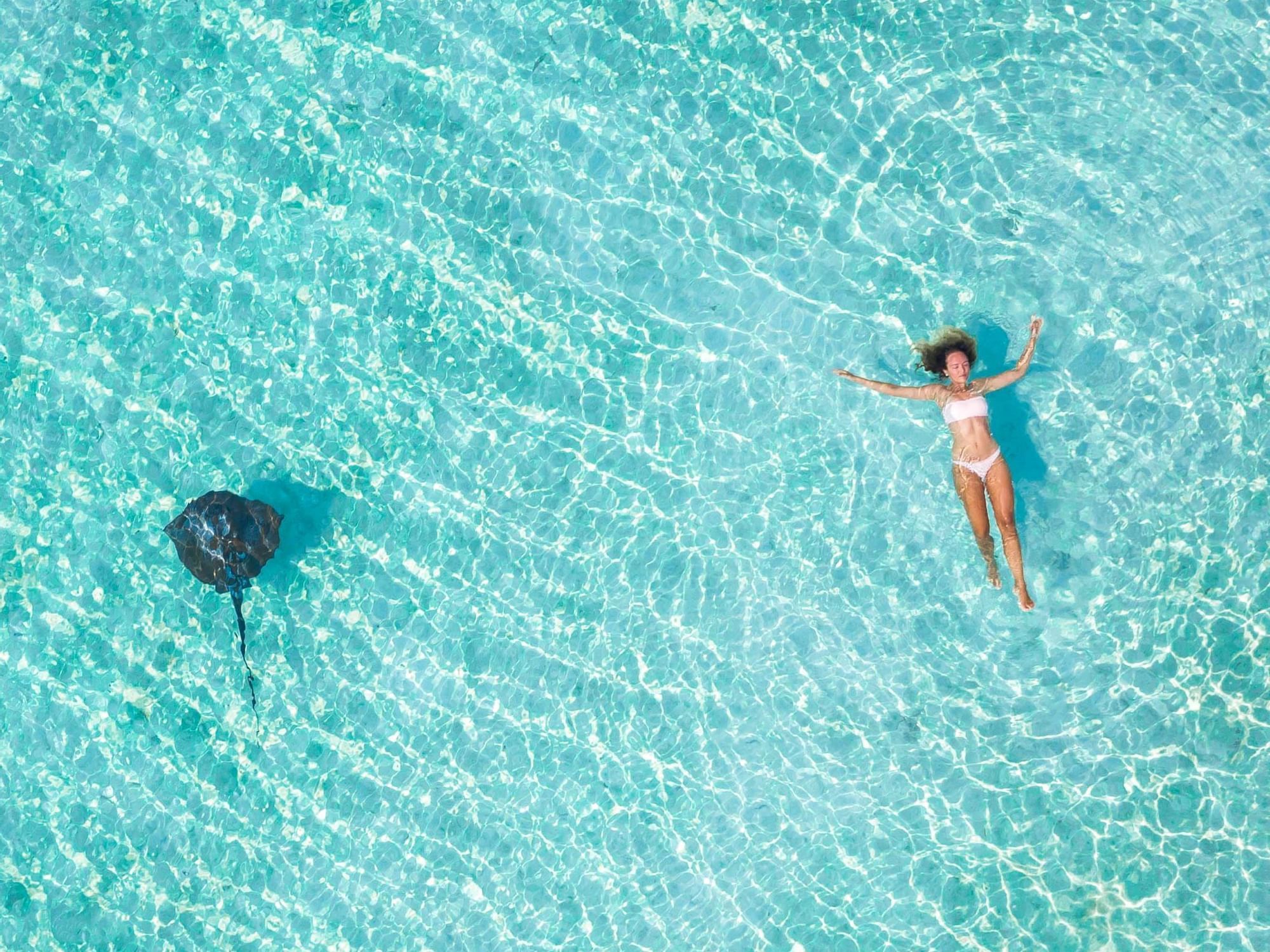 Girl swimming along a ray near Heron Island Resort