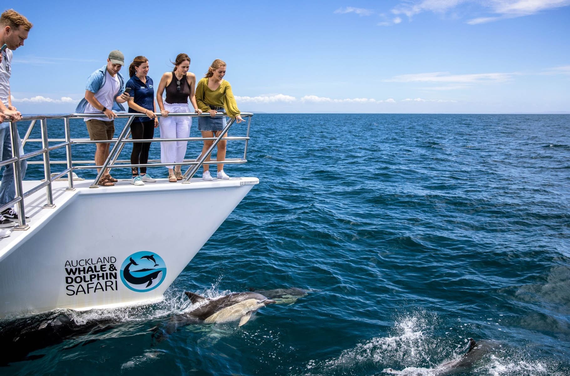 Auckland Whale Dolphin Safari