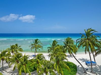 Arial of the Beach
