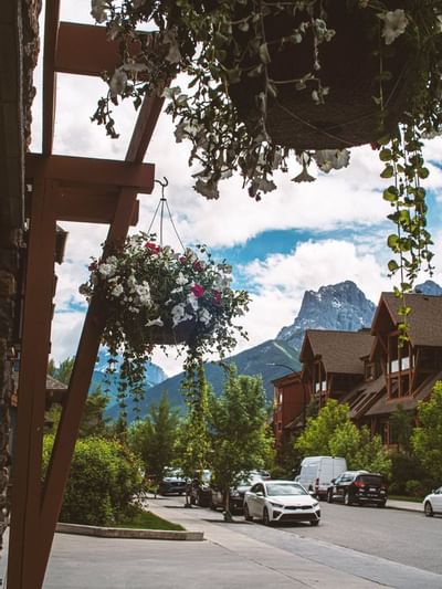 Hanging flower baskets adorn a tree-lined street with parked cars and a mountain backdrop near Blackstone Mountain Lodge