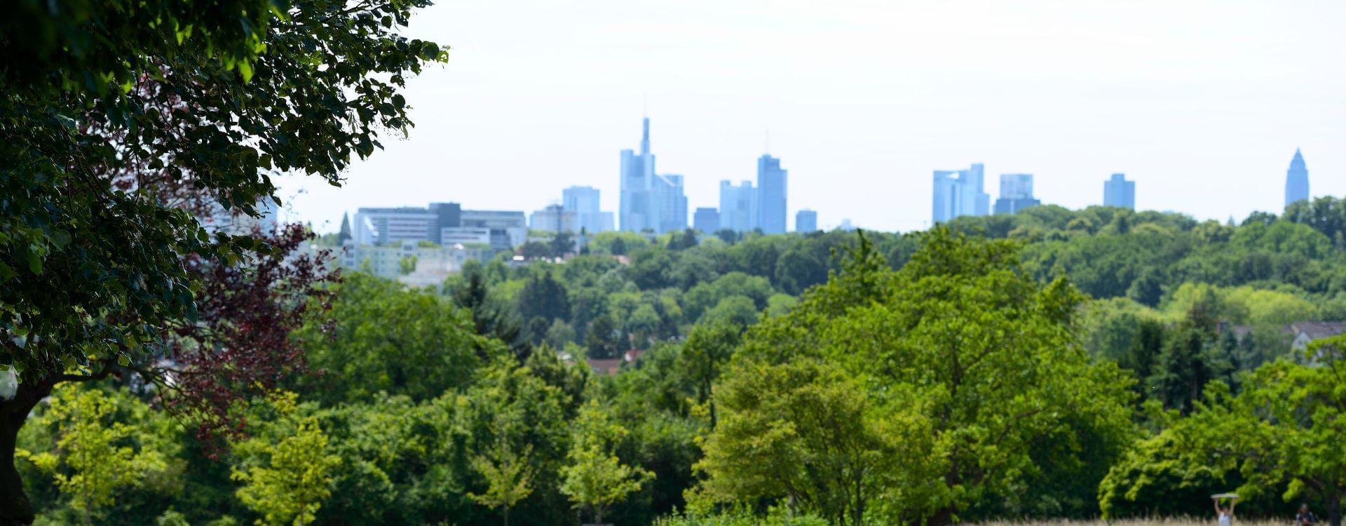 Landschaftsbild der entfernten Stadt Lohrberg in der Nähe der Flemings Hotels