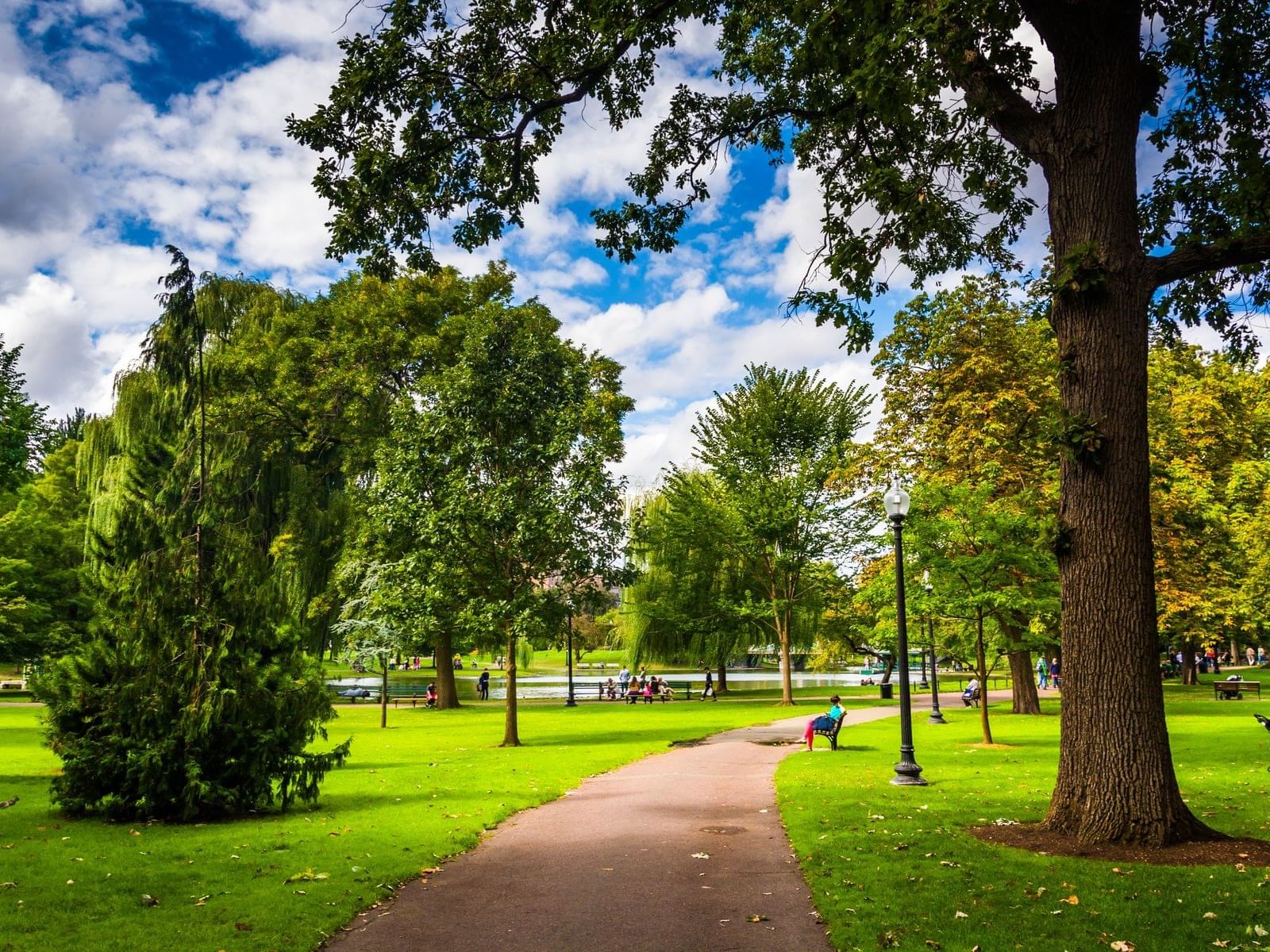 Pathway, trees & green lawn in Boston Common City Park, Boston top attractions near The Eliot Hotel