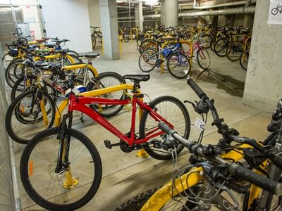 UniLodge @ANU Warrumbul Lodge Canberra_Bike Storage