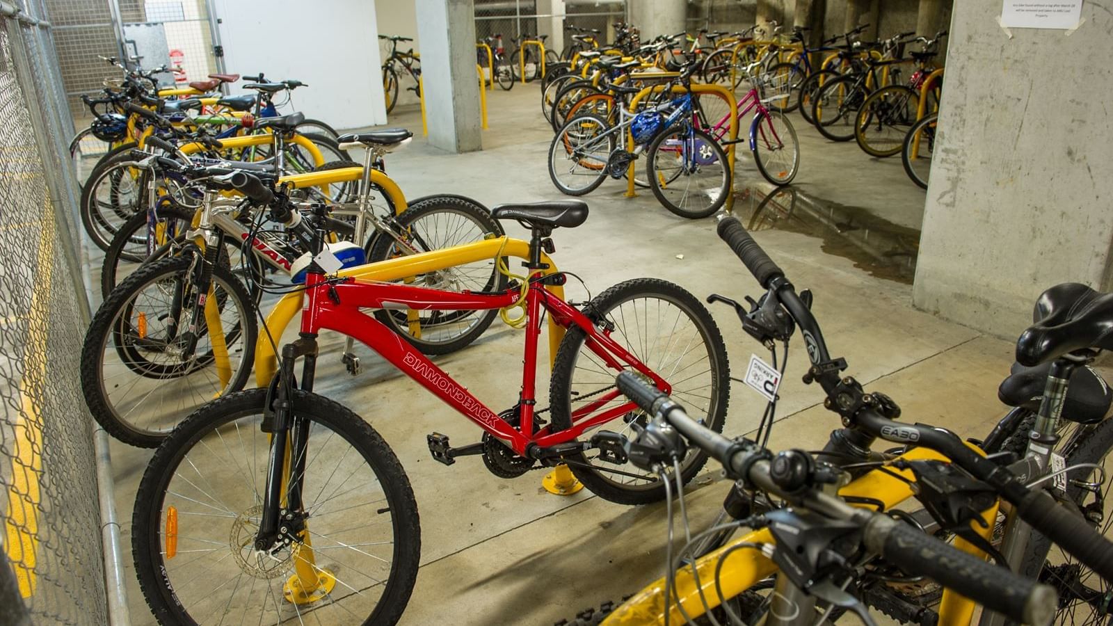 UniLodge @ANU Warrumbul Lodge Canberra_Bike Storage