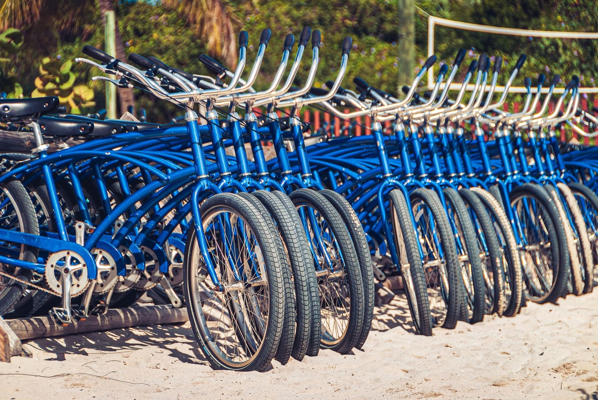 Rows of blue rental bicycles lined up on sandy beach with palm trees at Warwick Paradise Island Nassau Bahamas