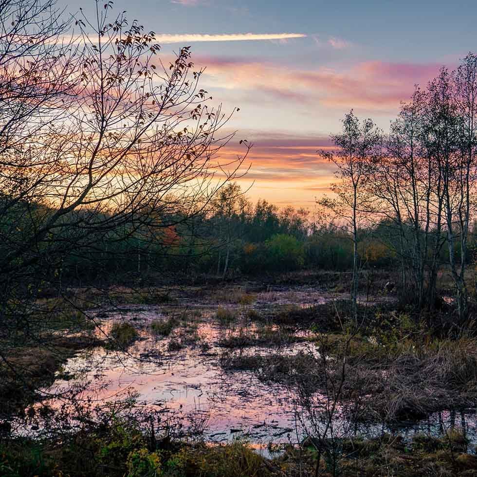 Golden evening at Biotope Rasun near Falkensteiner Hotels