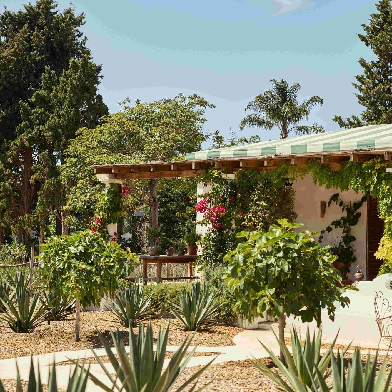 Event Opus One, The Essence of Napa Valley set in a beautiful garden.