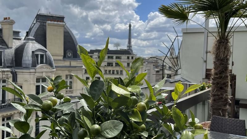 View of Paris with Eiffel Tower from The Rooftop at the Galeries