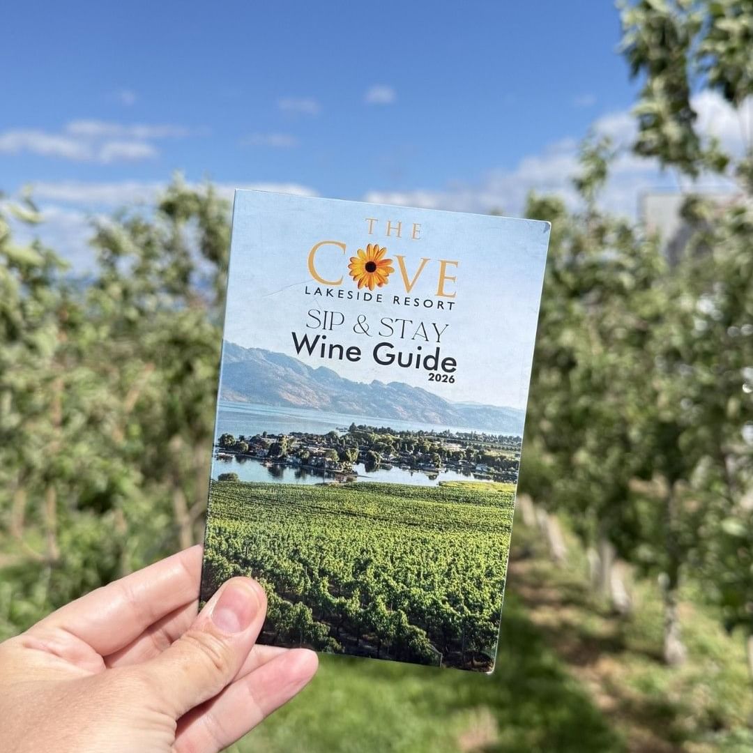 A hand holds the Sip & Stay Wine Guide in front of a vineyard.