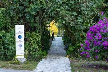 White information sign by a stone path under a natural green arch of dense leaves at Hotel Chan-kah Resort Village