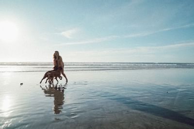 Hotels near the Beach | Carlsbad CA | Carlsbad byt