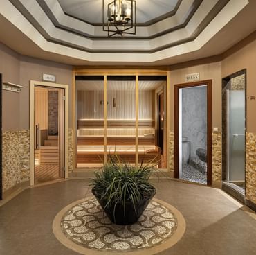 Spa entrance with a plant in a black pot, wooden sauna door, and glass shower rooms in BeFine Spa at Titanic Business Kartal.