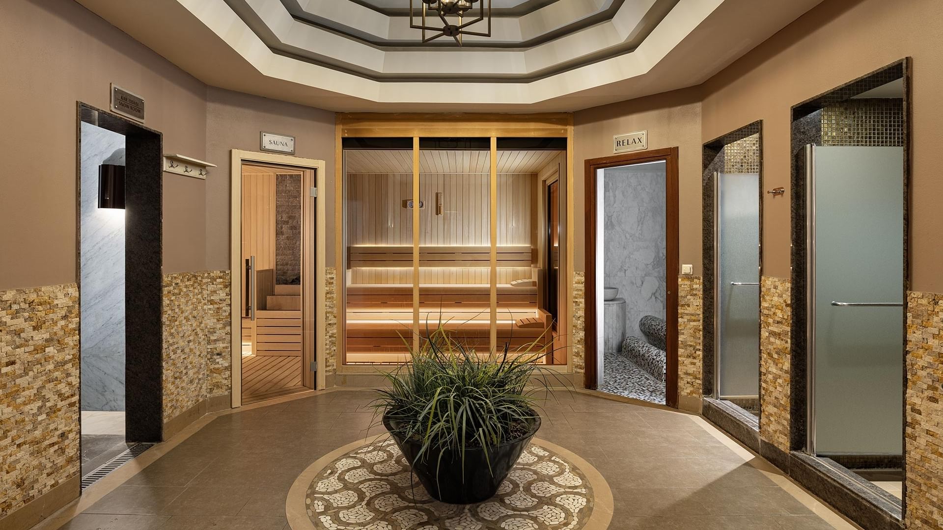 Spa entrance with a plant in a black pot, wooden sauna door, and glass shower rooms in BeFine Spa at Titanic Business Kartal.