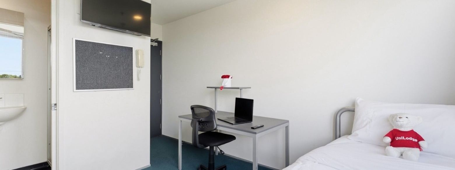 Student Living Auckland 1 Bedroom Apartment