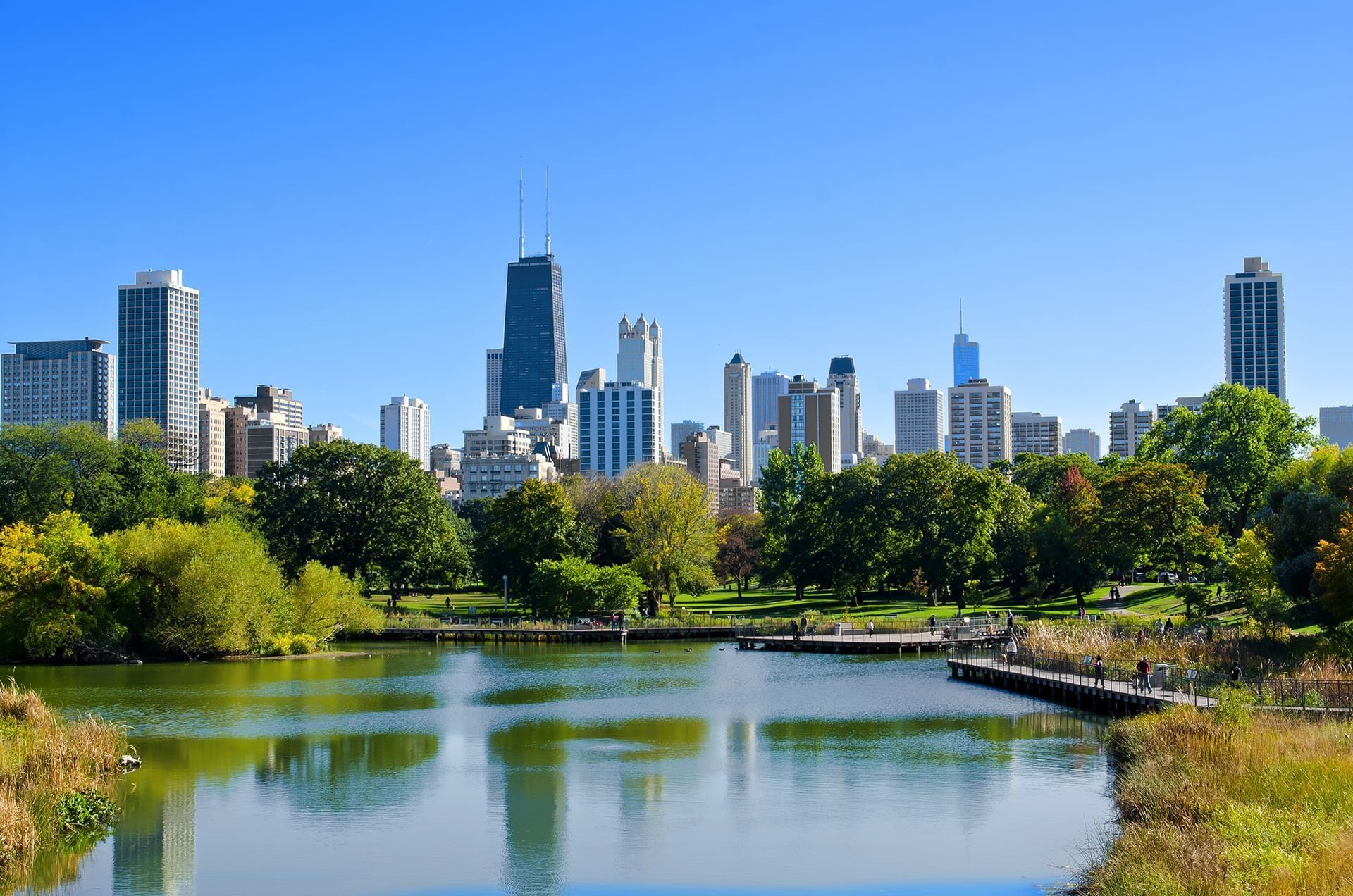 chicago skyline during a summer day